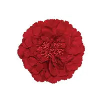 Flower Hairclip/Brooch