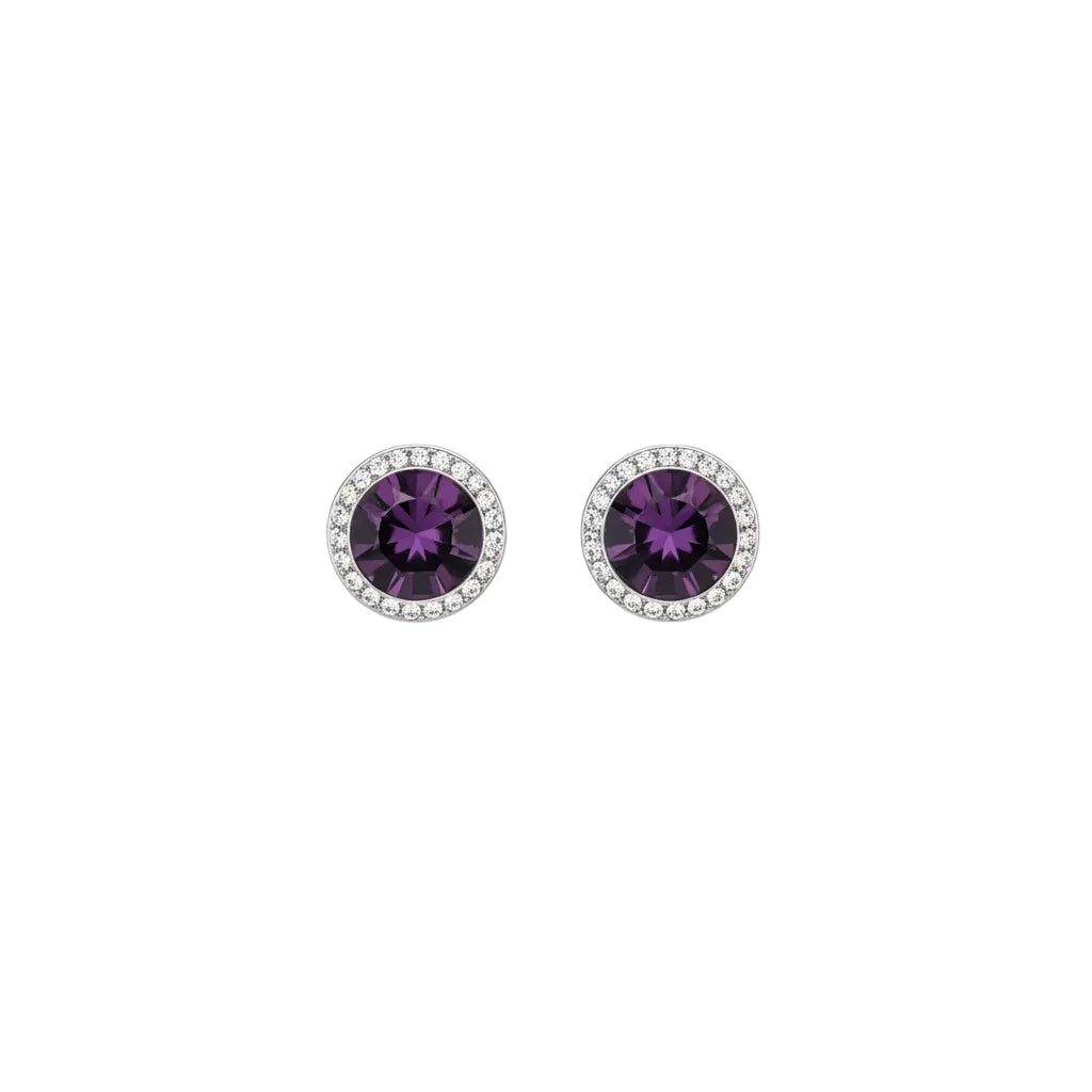Birthstone Earrings- Amethyst February