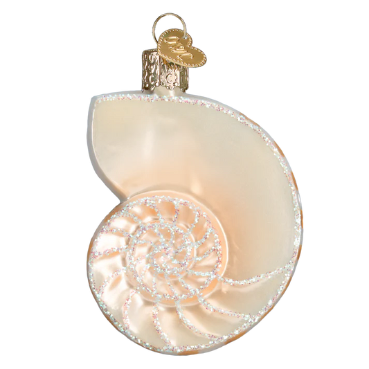 Nautilus Shell Ornament