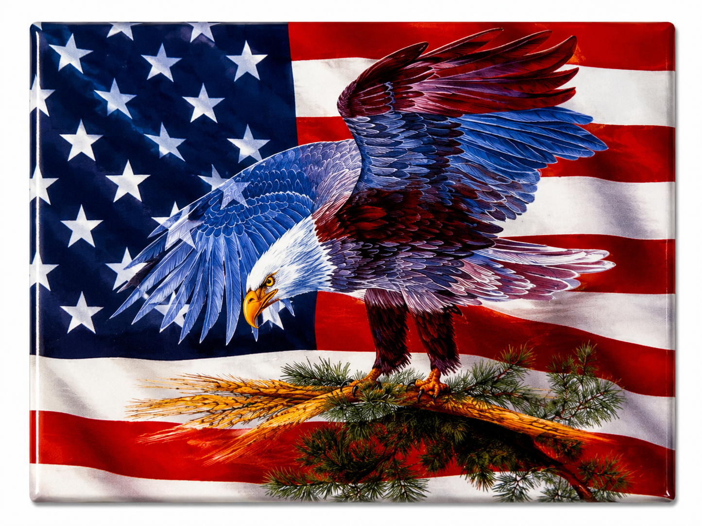 American Bald Eagle | Magnet