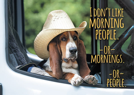 I don't like morning people. Or mornings. Or people. Magnet