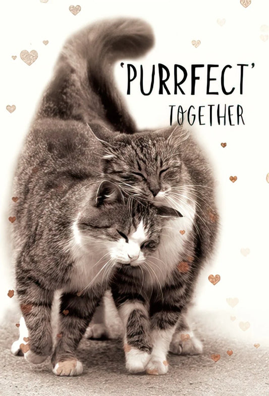 Purrfect Together Magnet