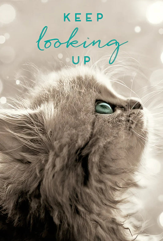 Keep Looking Up Magnet