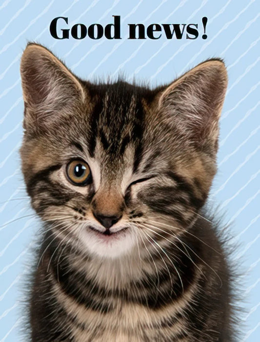 Birthday Greeting Card