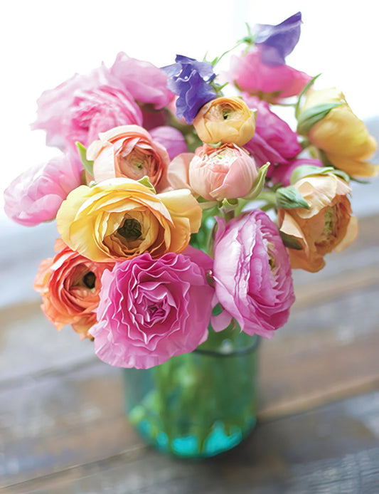 Blank Notecard Greeting Card