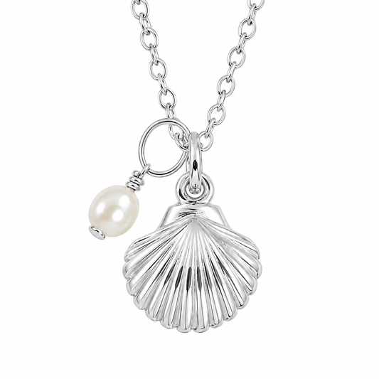 Sunshine & Saltwater Scallop Shell Necklace