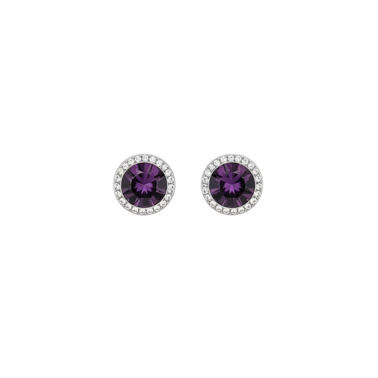 Birthstone Earrings- Amethyst February