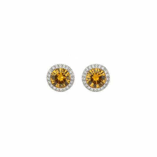 Birthstone Earrings- Topaz November